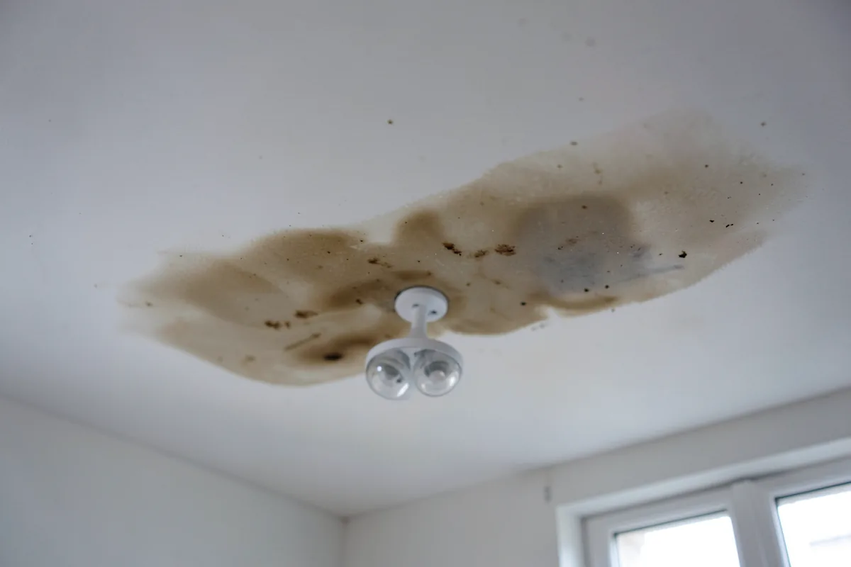 Fuite d'eau Paris 11 : Tache au plafond, compteur qui tourne, mur humide ?